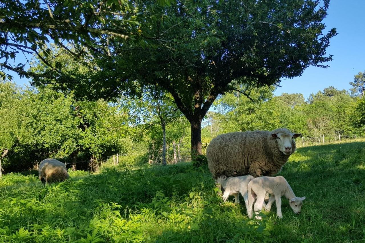 Romantic Mill Cottage 30 Min From Bergerac France Sourzac Екстериор снимка